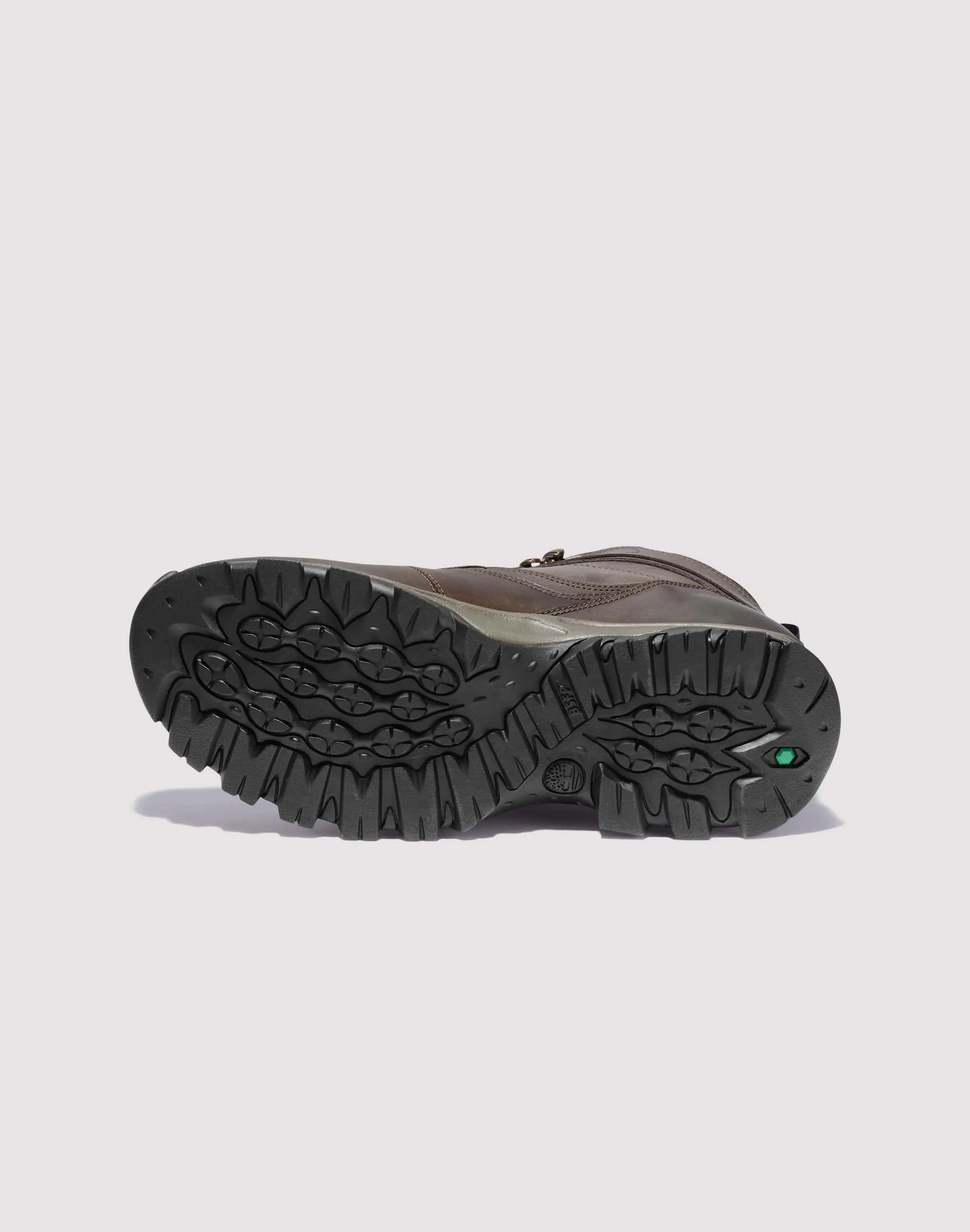 Timberland Mt. Maddsen Mid Lace Up Waterproof Hiking Boot